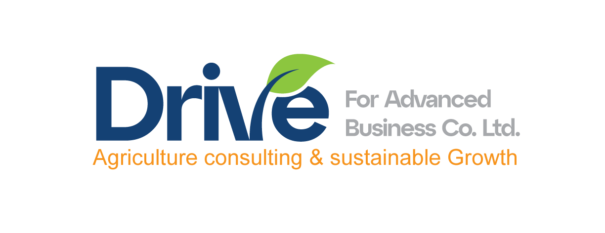 drive-logo